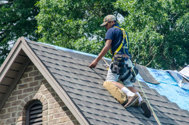 Best Roof Waterproofing Services  in Silver Firs, WA