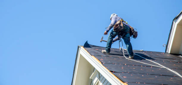 Best Metal Roofing Contractor  in Silver Firs, WA